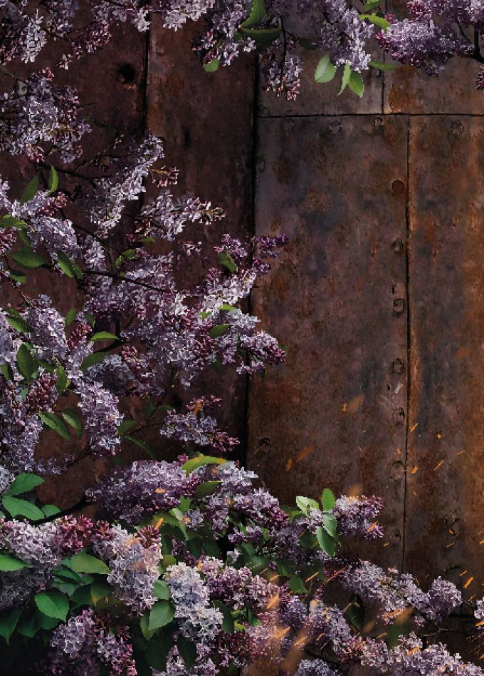 Любить на войне