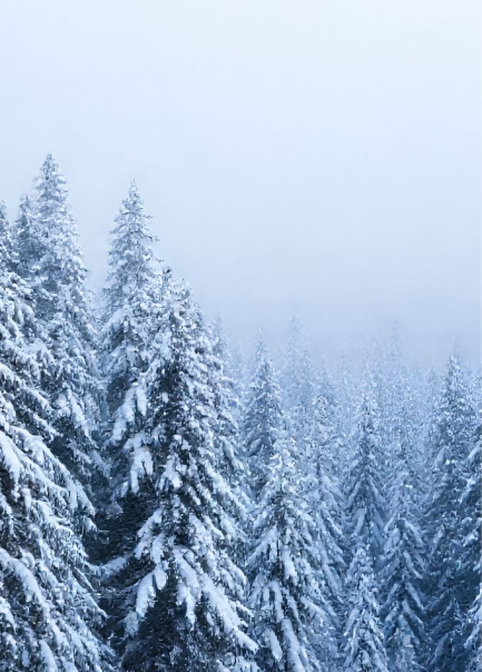 Хранители снега